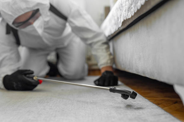 Professional Pest Control technician working in Chippewa County County, MN